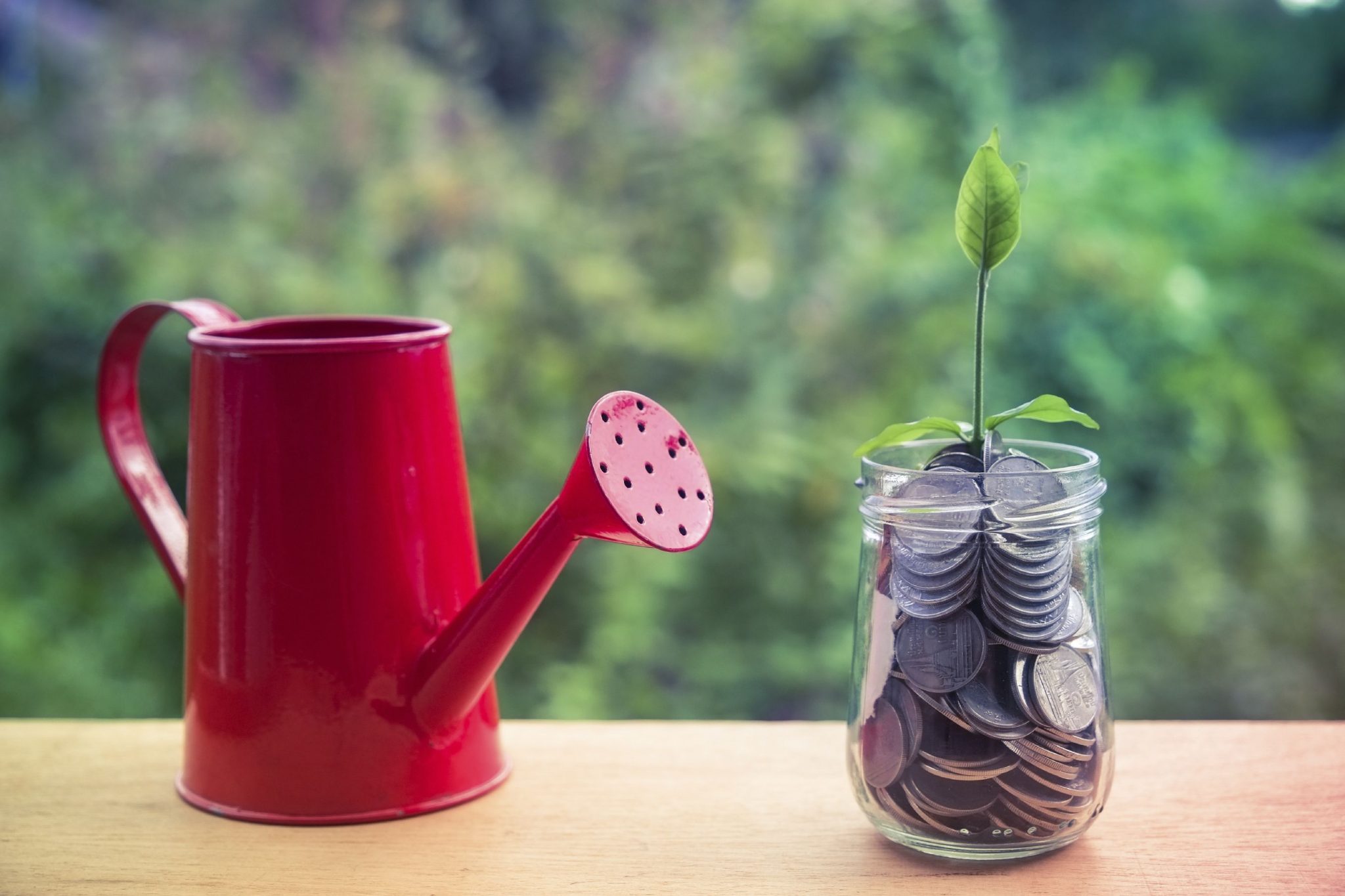 10 things business startups need to do to start up with Success!